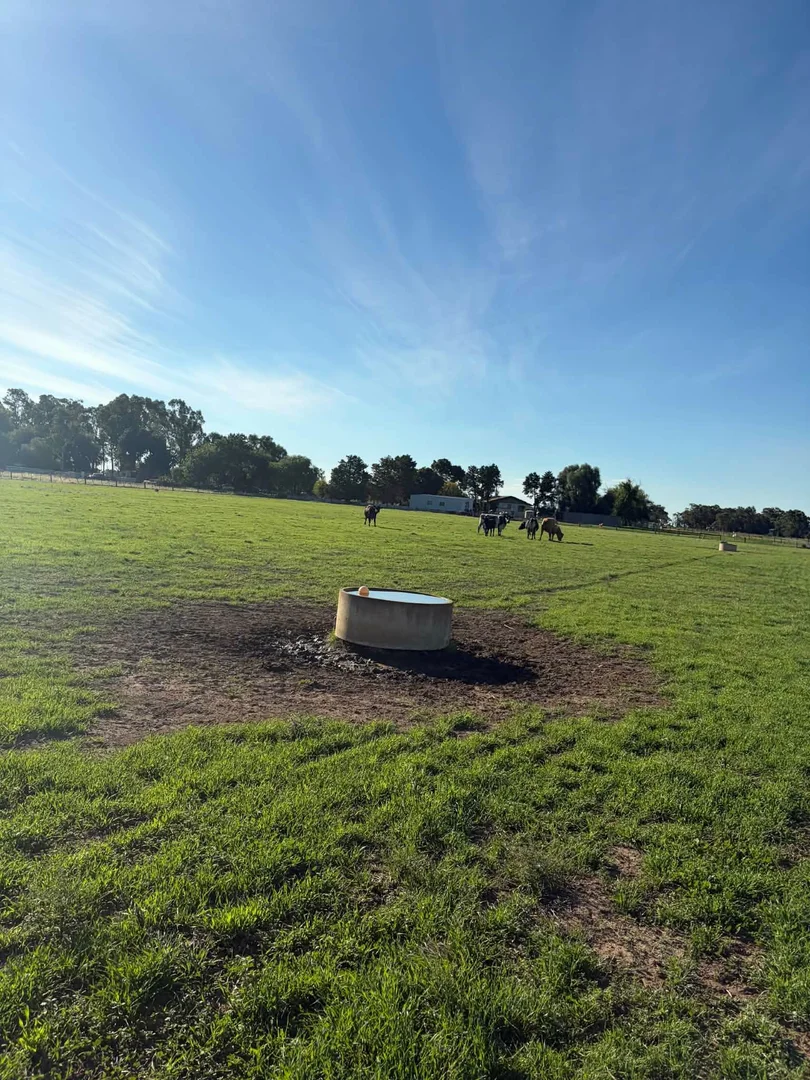 Additional image 18 of 78 Nicholson Lane, Kotta VIC 3565