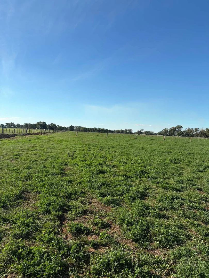 Additional image 32 of 78 Nicholson Lane, Kotta VIC 3565