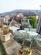 Additional image 21 of Spring Grove, Greenfield, Saddleworth, OL3