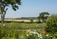 Additional image 25 of Foston, York, YO60