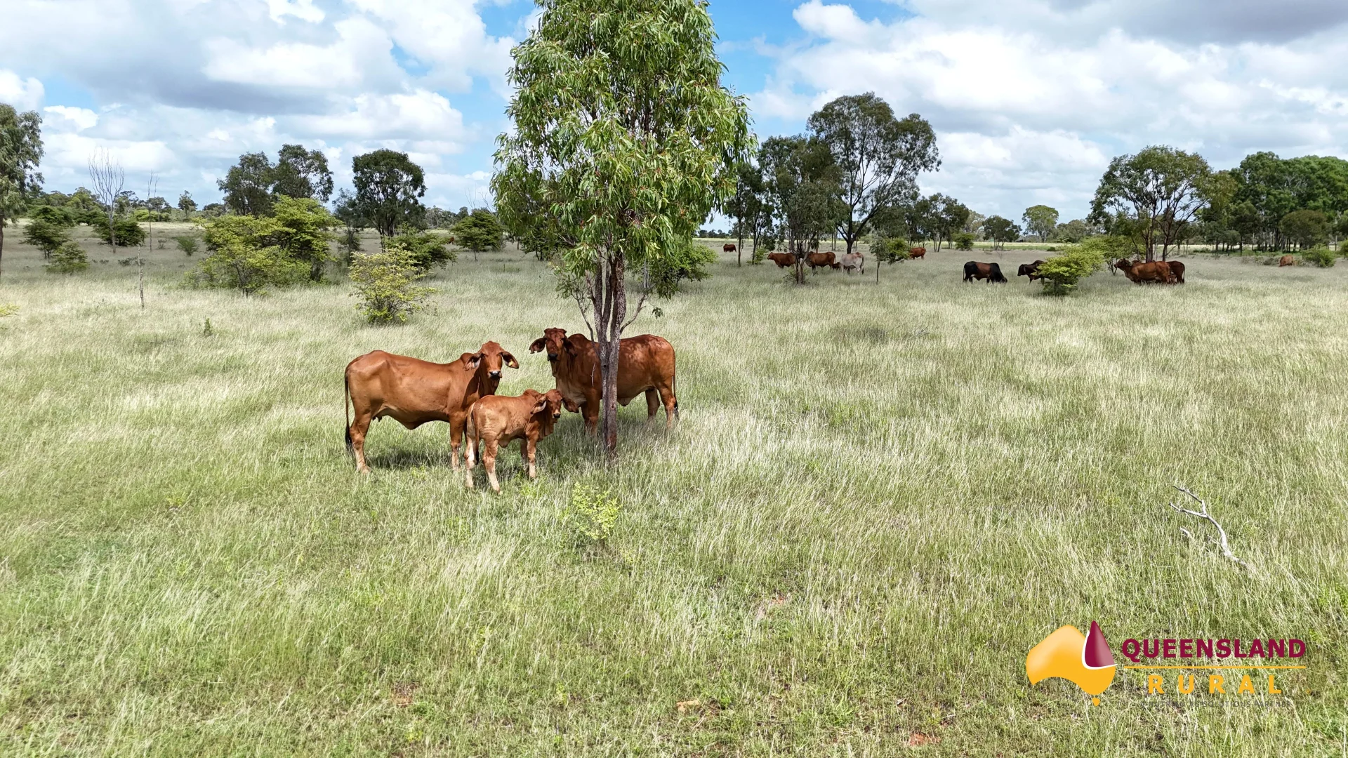 Seventy Mile QLD 4820 photo 3