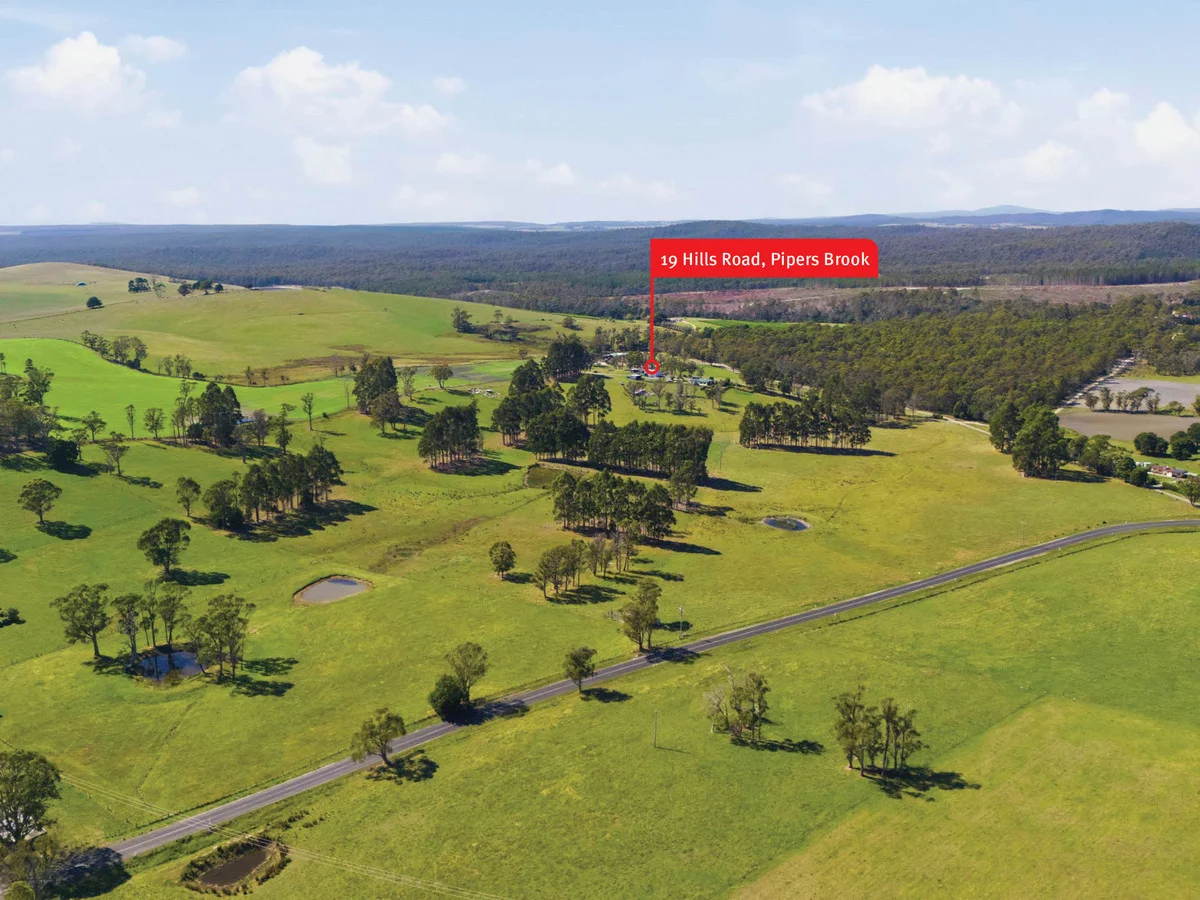 Additional image 35 of 19 Hills Road, Pipers Brook TAS 7254