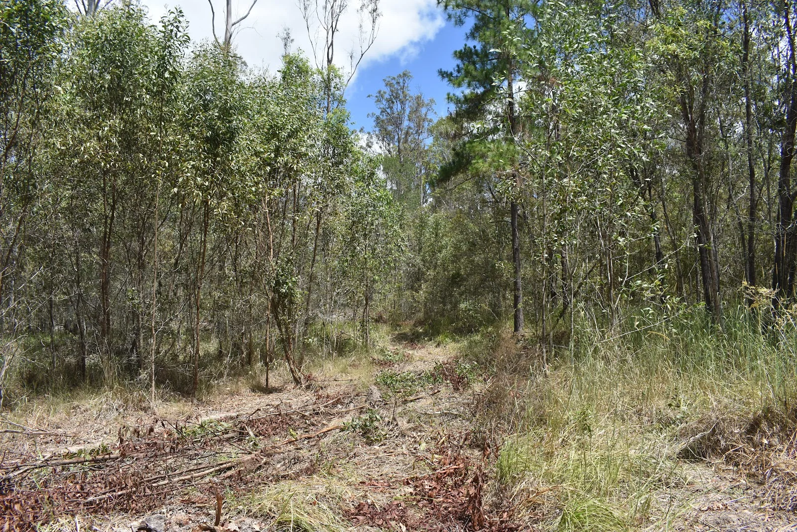 Additional image 12 of Lot 80 Keenes Road, Bauple QLD 4650