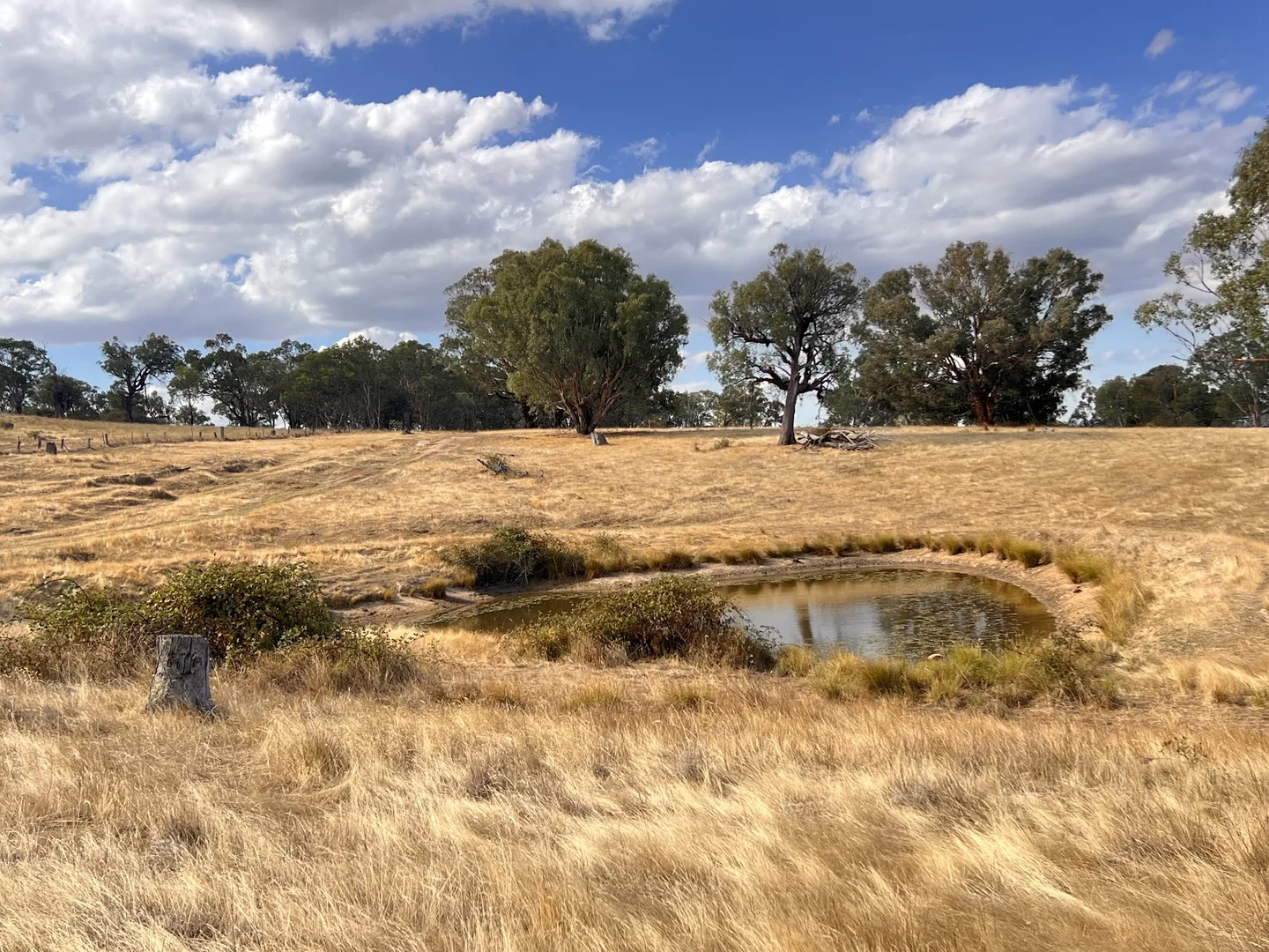 Additional image 20 of Lot 241 Hearn Street, Bigga NSW 2583