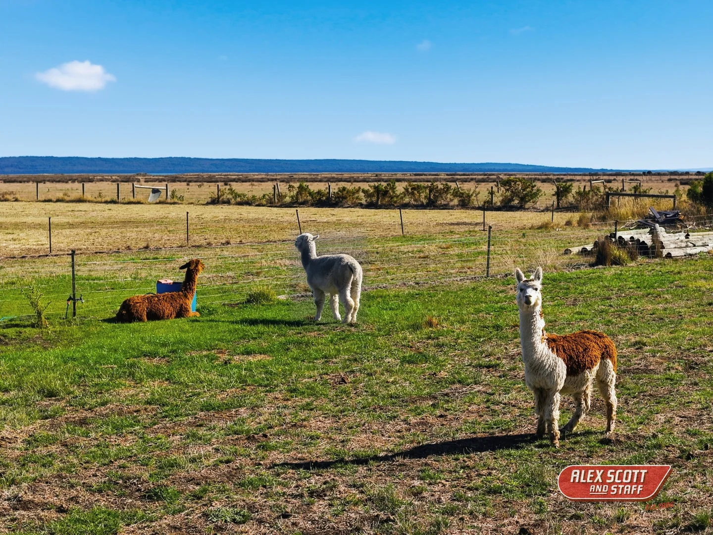 Additional image 26 of 360 Stanlake Road, Lang Lang VIC 3984