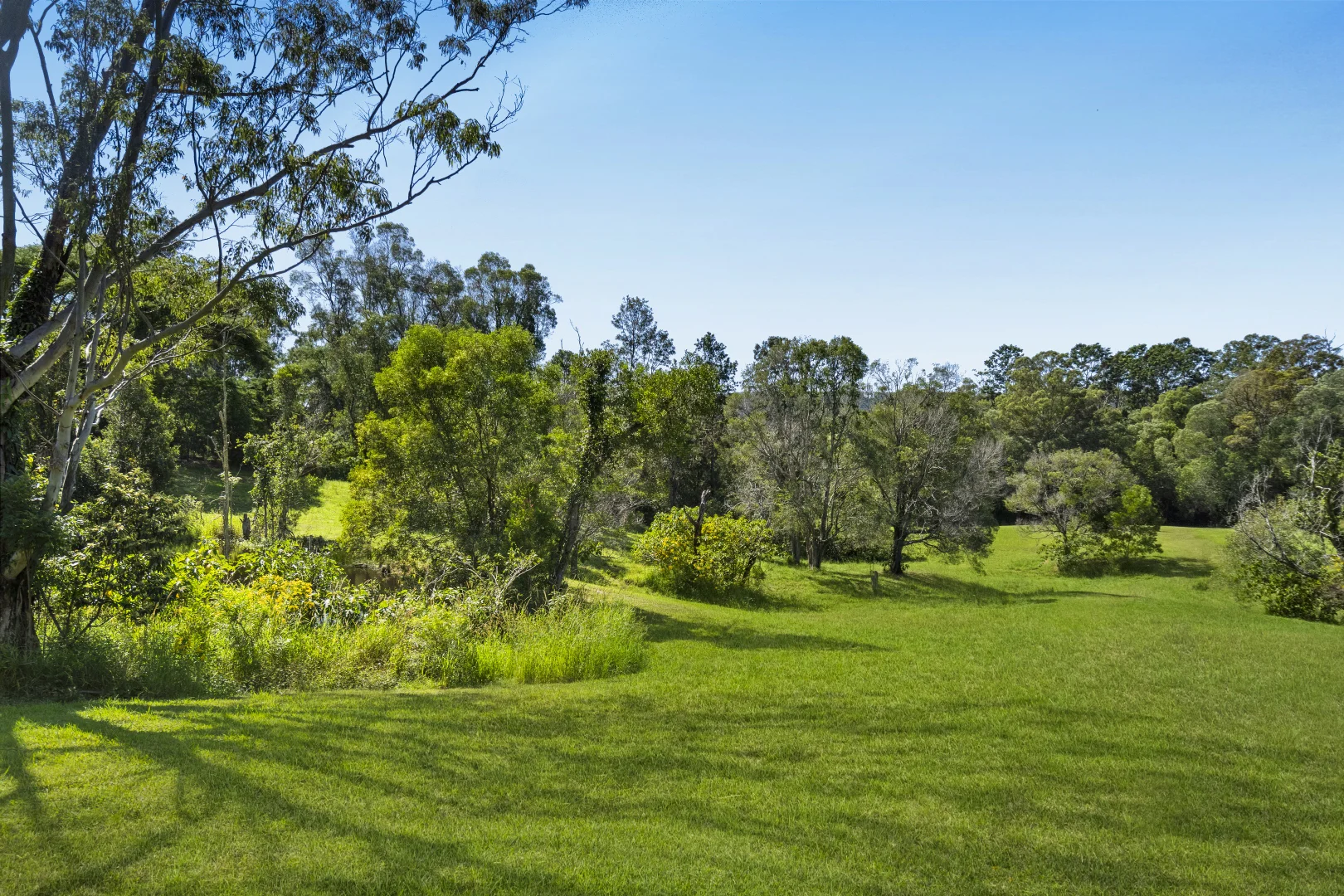 Additional image 41 of 20 Collaroy Road, Guanaba QLD 4210