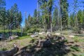 Additional image 57 of 2399 Campo Flores Ln, West Point, CA, 95255