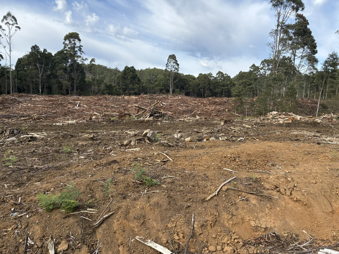 . Calder Road, Calder TAS 7325