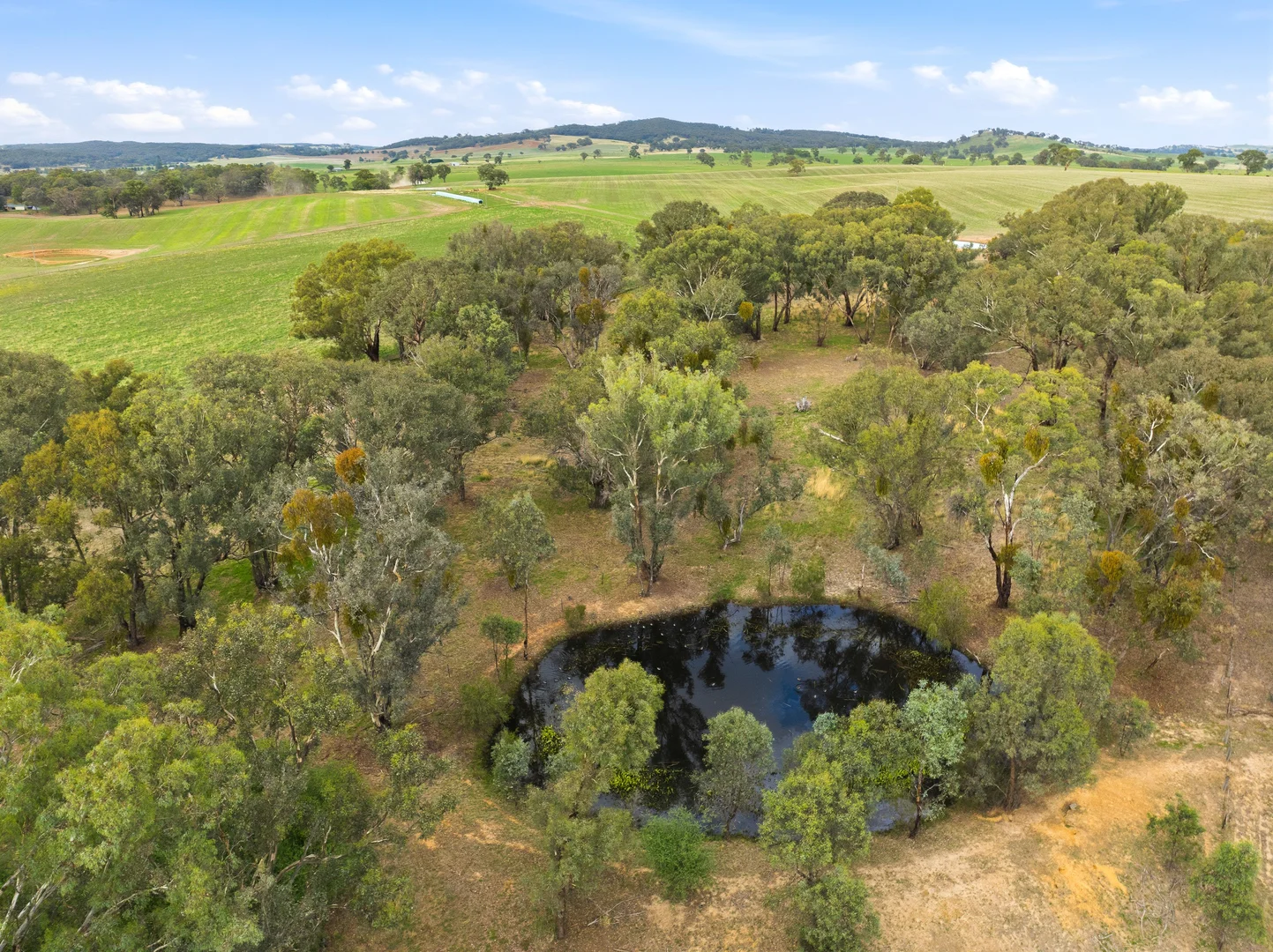Additional image 20 of 34 Mandurama Road, Mandurama NSW 2792