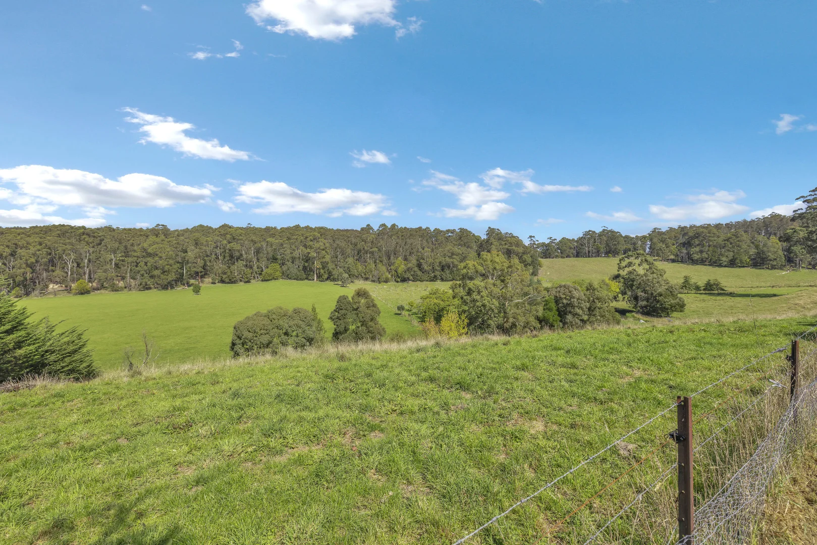 Additional image 29 of 215 Fraser Spur Road, Neerim East VIC 3831