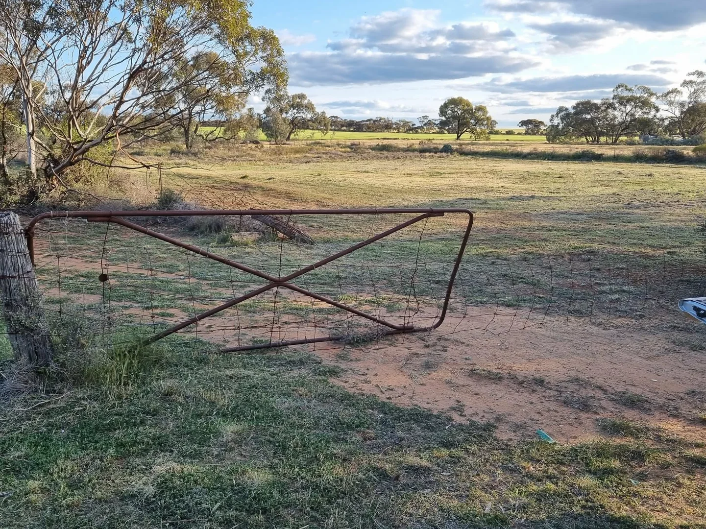 Nyah West VIC 3595 photo 4