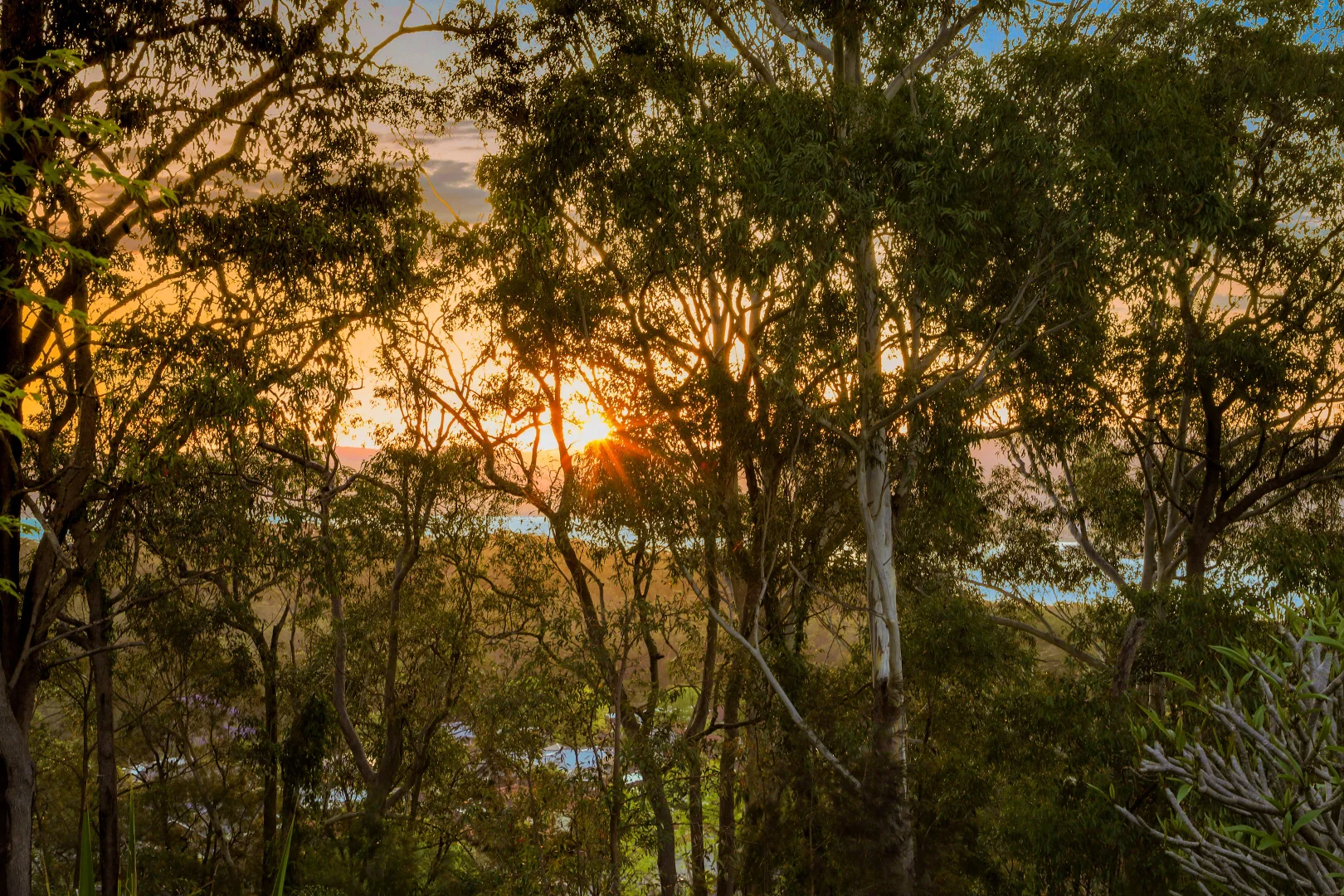 Additional image 12 of 3 Moir Place, Green Point NSW 2251