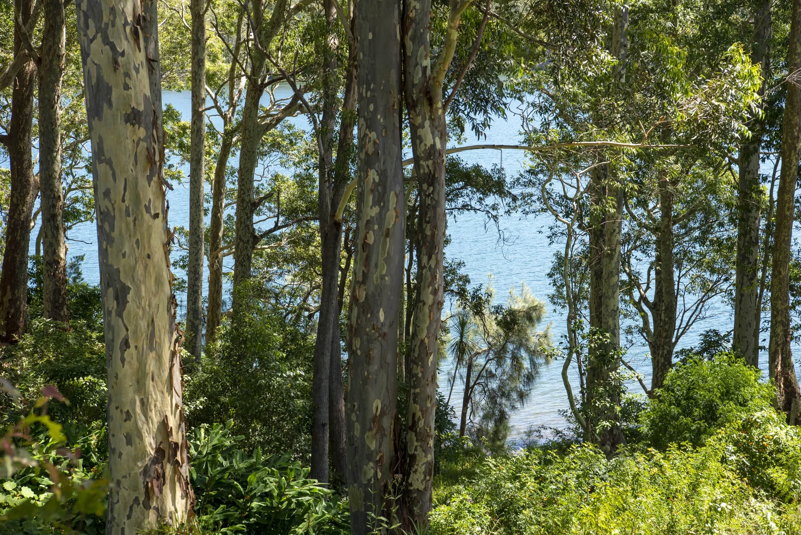 Additional image 9 of 58 Kings Point Drive, Kings Point NSW 2539