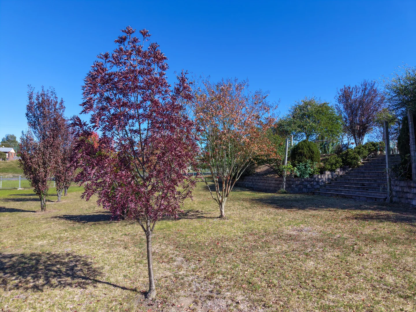 Additional image 26 of 123 Drummond Street, Tenterfield NSW 2372