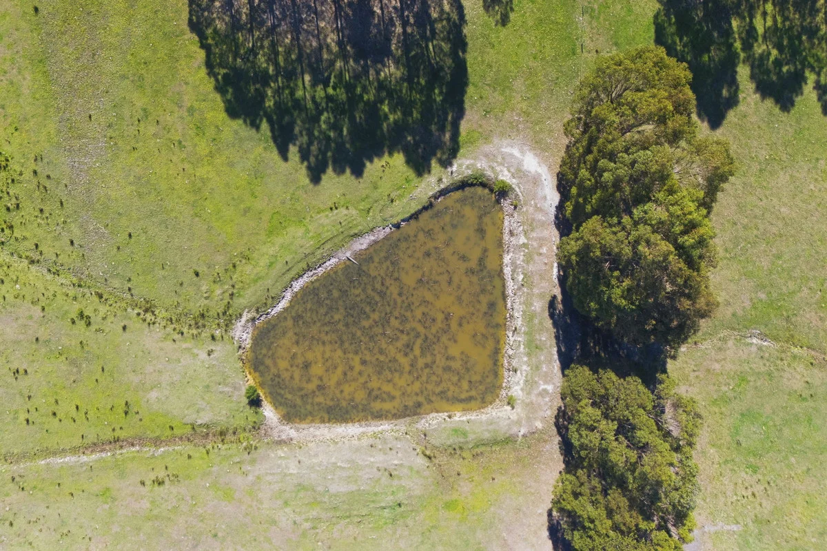 Additional image 29 of 19 Hills Road, Pipers Brook TAS 7254