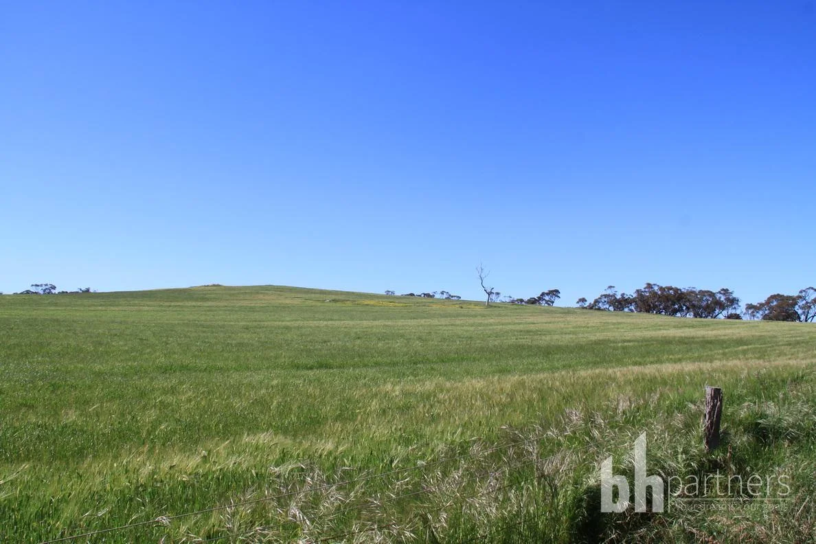 Additional image 14 of Section 332 and Section 330 & 405 Kubenk Road, Rockleigh SA 5254