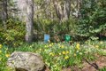 Additional image 65 of 135 and 129 Zaccheus Mead Ln, Greenwich, CT, 06831