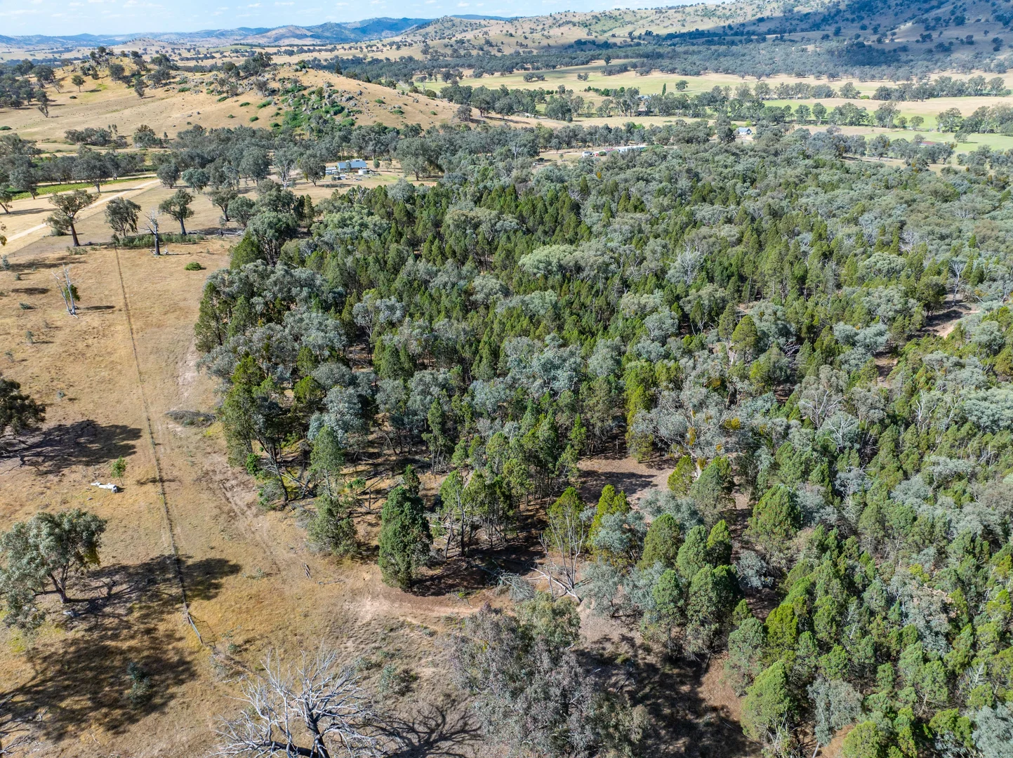 Additional image 24 of 3705 Frogmore Road, Hovells Creek NSW 2794