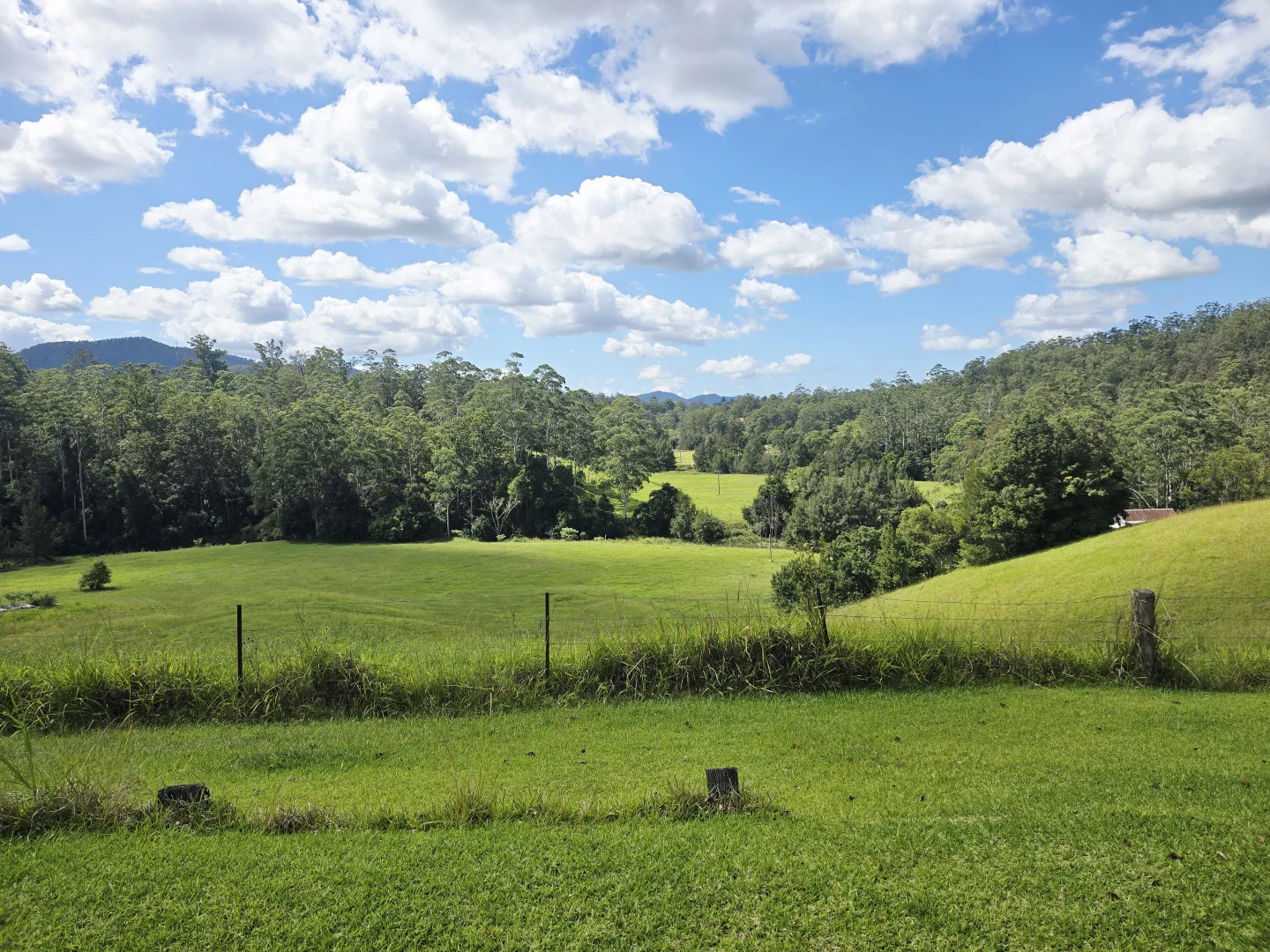 Additional image 2 of 207-208 Upper Buckrabendinni Road, Buckra Bendinni NSW 2449