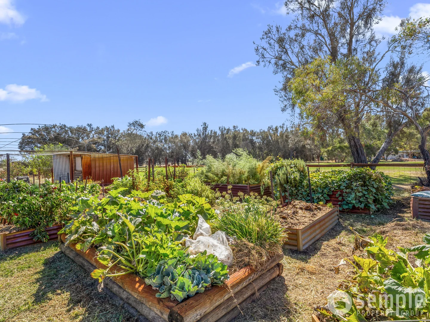 Additional image 31 of 11 McKenna Drive, Cardup WA 6122