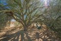 Additional image 37 of 69886 Warren Ln, Twentynine Palms, CA, 92277