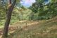 Additional image 5 of Birks Wood , Wainstalls  HX2