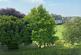 Additional image 6 of Archery Square, Walmer, CT14