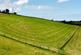 Pisgah, Aberystwyth photo 3