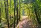 Additional image 15 of Hurdle Wood (4.75 acres), Beckley, near Rye, East Sussex TN31