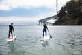 Additional image 53 of 1 Bristol Ct Apt 521, San Francisco, CA, 94130