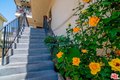 Additional image 4 of 333 S Serrano Ave Apt 5, Los Angeles, CA, 90020