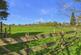 Additional image 27 of Bryning Lane, Wrea Green PR4