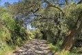 Additional image 61 of 1140 Sloan Canyon Rd, Jamul, CA, 91935