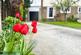 Additional image 35 of Cliffe Court, Monk Bretton, S71