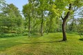 Additional image 25 of 22 Walnut Rd, Knowlton, NJ, 07832