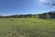 Additional image 30 of Llangwyryfon, Aberystwyth, SY23