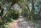 Additional image 31 of Sandy Lane, Three Legged Cross, Wimborne, BH21