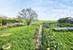 Additional image 11 of Hopton Road, Cam, Dursley, GL11 5NZ