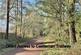 Additional image 4 of Webbs Close, Ashley Heath, BH24 2EP