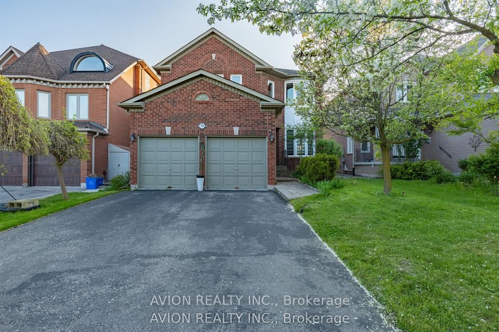 Basement-79 Sweet Water Crescent, Richmond Hill, ON, L4S 2B2
