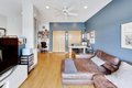 Additional image 23 of 101 N Euclid Ave Apt 3, Oak Park, IL, 60301