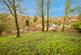Additional image 21 of Green Bank, West Yorkshire HX7