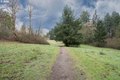 Additional image 46 of 3308 NE 94th Way, Vancouver, WA, 98665