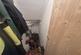 Additional image 12 of Haybridge Road, Wellington, Telford, Shropshire, TF1