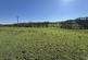 Additional image 62 of Llangwyryfon, Aberystwyth, SY23