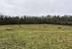 Additional image 4 of Hursley Hill, Bristol, BS14