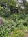 Additional image 24 of Dol Llan Road, Dyfed SA44
