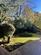 Additional image 26 of Clough Park Avenue, Grasscroft OL4
