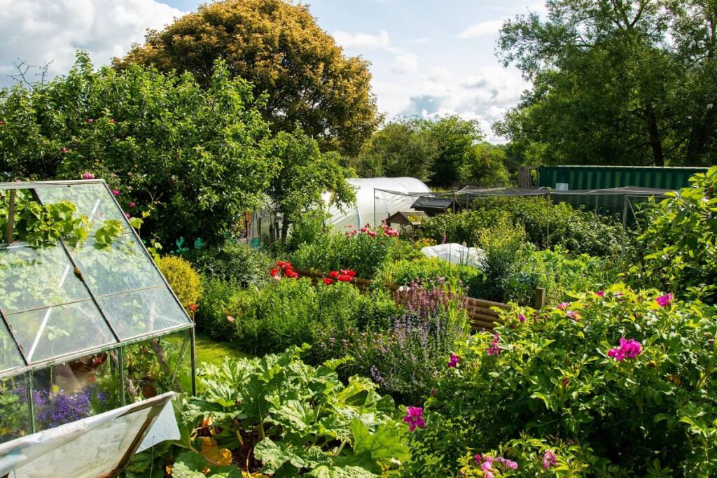 Additional image 4 of Forget Me Not Farm, Earlswood, B94