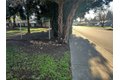 Additional image 13 of 455 Cimarron Dr, Chico, CA, 95973